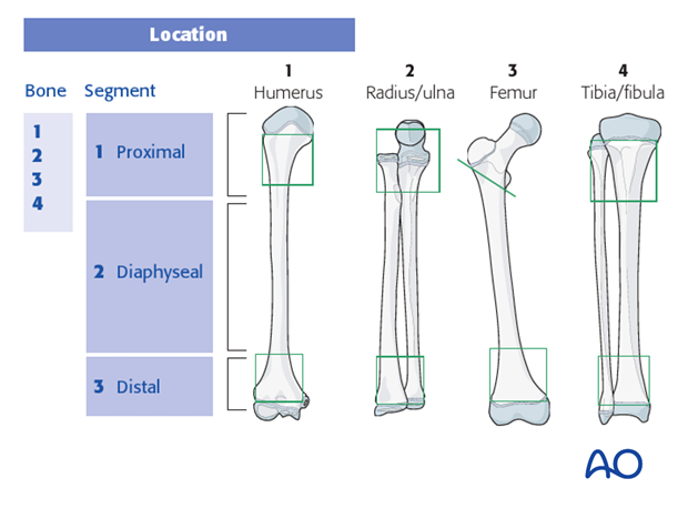 classification of childrens fractures