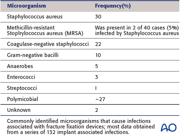 bacteriology