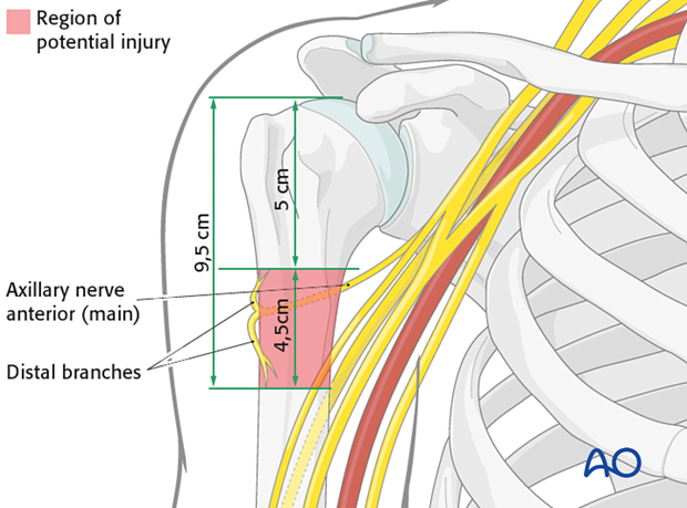 Axillary nerve