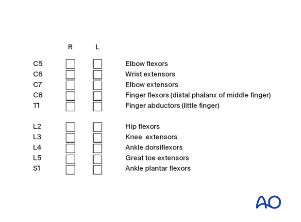 patient examination neurological evaluation