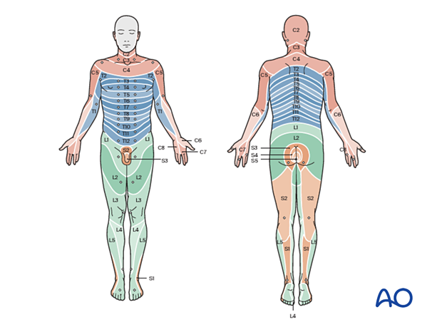 patient examination neurological evaluation