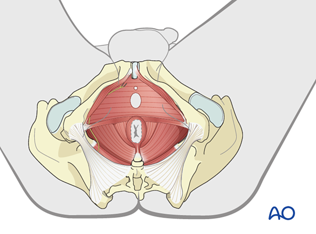 patient examination neurological evaluation