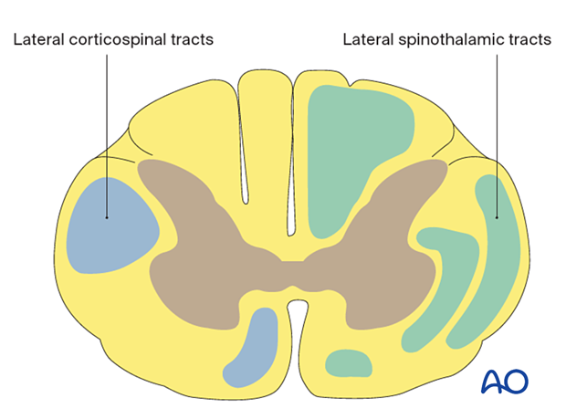 patient examination neurological evaluation