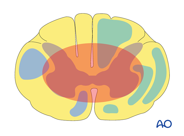 patient examination neurological evaluation