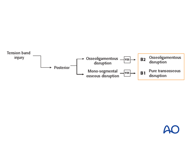 Thoracic and Lumbar Fractures: Rationale for fracture classification