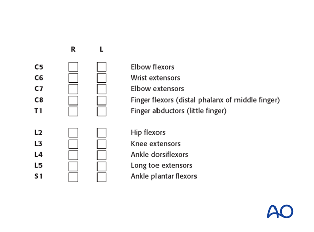 Thoracic and lumbar fractures: Patient examination - neurological evaluation