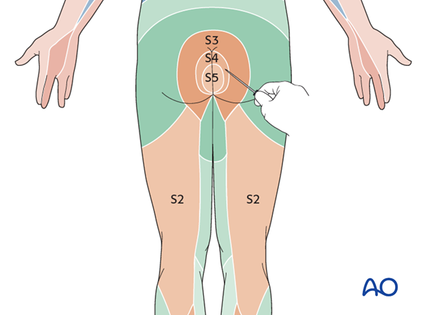 patient examination neurological evaluation