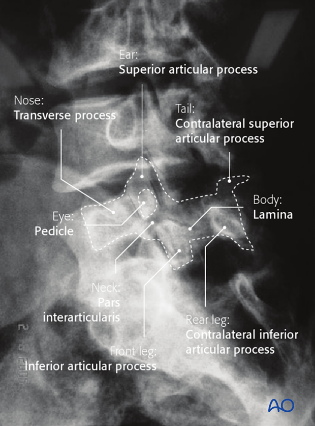 clinical evaluation