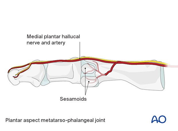 Vascularity