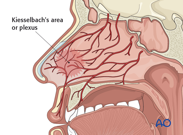 Airway considerations