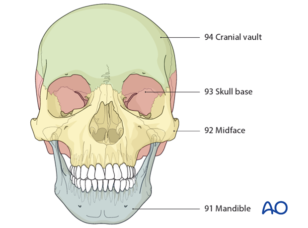 AOCMF Classification Midface (Level 1 and 2)