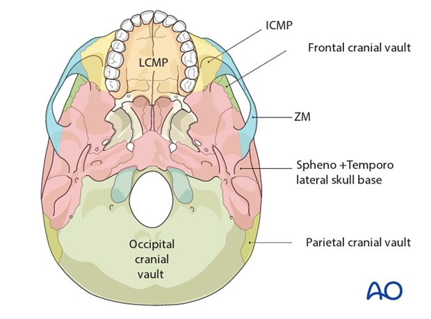 AOCMF Classification Midface (Level 1 and 2)