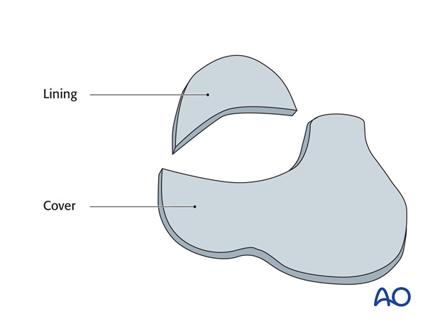 Nose Reconstruction by Dr. Frederick J Menick