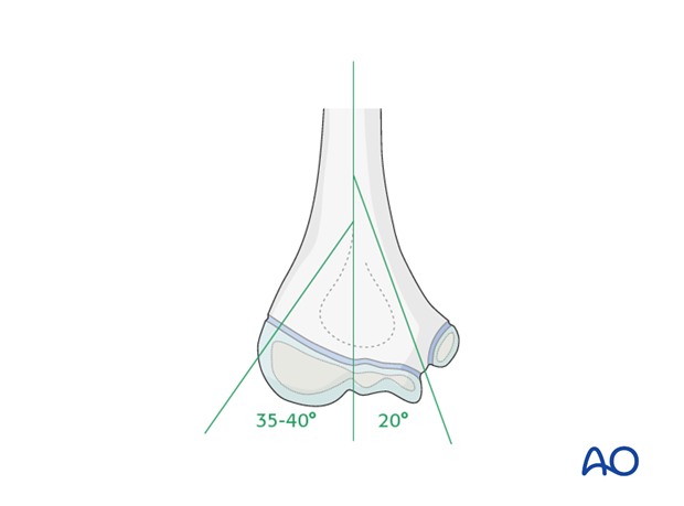 distal humeral surgical and developmental anatomy