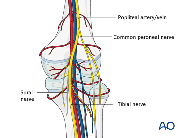 Clinical evaluation