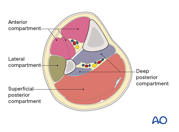 Compartments